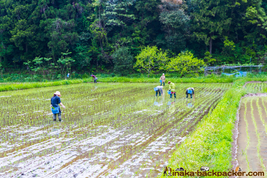能登 穴水町 田舎時間 農業 漁師 牡蠣 水揚げ 地方 田舎 体験 noto anamizu iwaguruma rural countryside farming oyster lifestyle experiences Japan