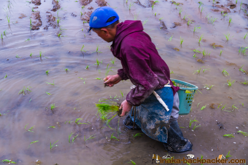 能登 穴水町 田舎時間 農業 漁師 牡蠣 水揚げ 地方 田舎 体験 noto anamizu iwaguruma rural countryside farming oyster lifestyle experiences Japan