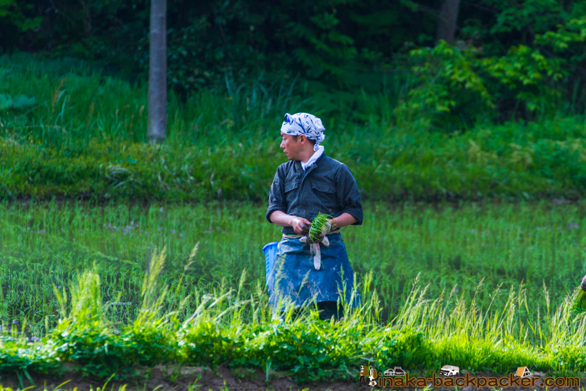 能登 穴水町 田舎時間 農業 漁師 牡蠣 水揚げ 地方 田舎 体験 noto anamizu iwaguruma rural countryside farming oyster lifestyle experiences Japan