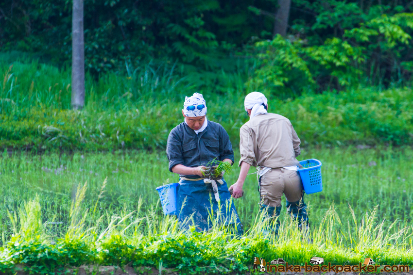 能登 穴水町 田舎時間 農業 漁師 牡蠣 水揚げ 地方 田舎 体験 noto anamizu iwaguruma rural countryside farming oyster lifestyle experiences Japan