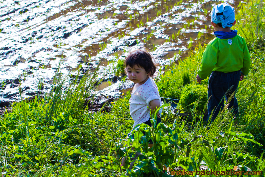 能登 穴水町 田舎時間 農業 漁師 牡蠣 水揚げ 地方 田舎 体験 noto anamizu iwaguruma rural countryside farming oyster lifestyle experiences Japan