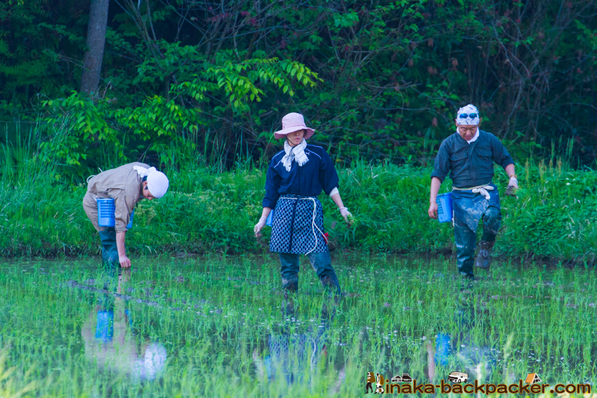 "能登 穴水町 田舎時間 農業 漁師 牡蠣 水揚げ 地方 田舎 体験 noto anamizu iwaguruma rural countryside farming oyster lifestyle experiences Japan