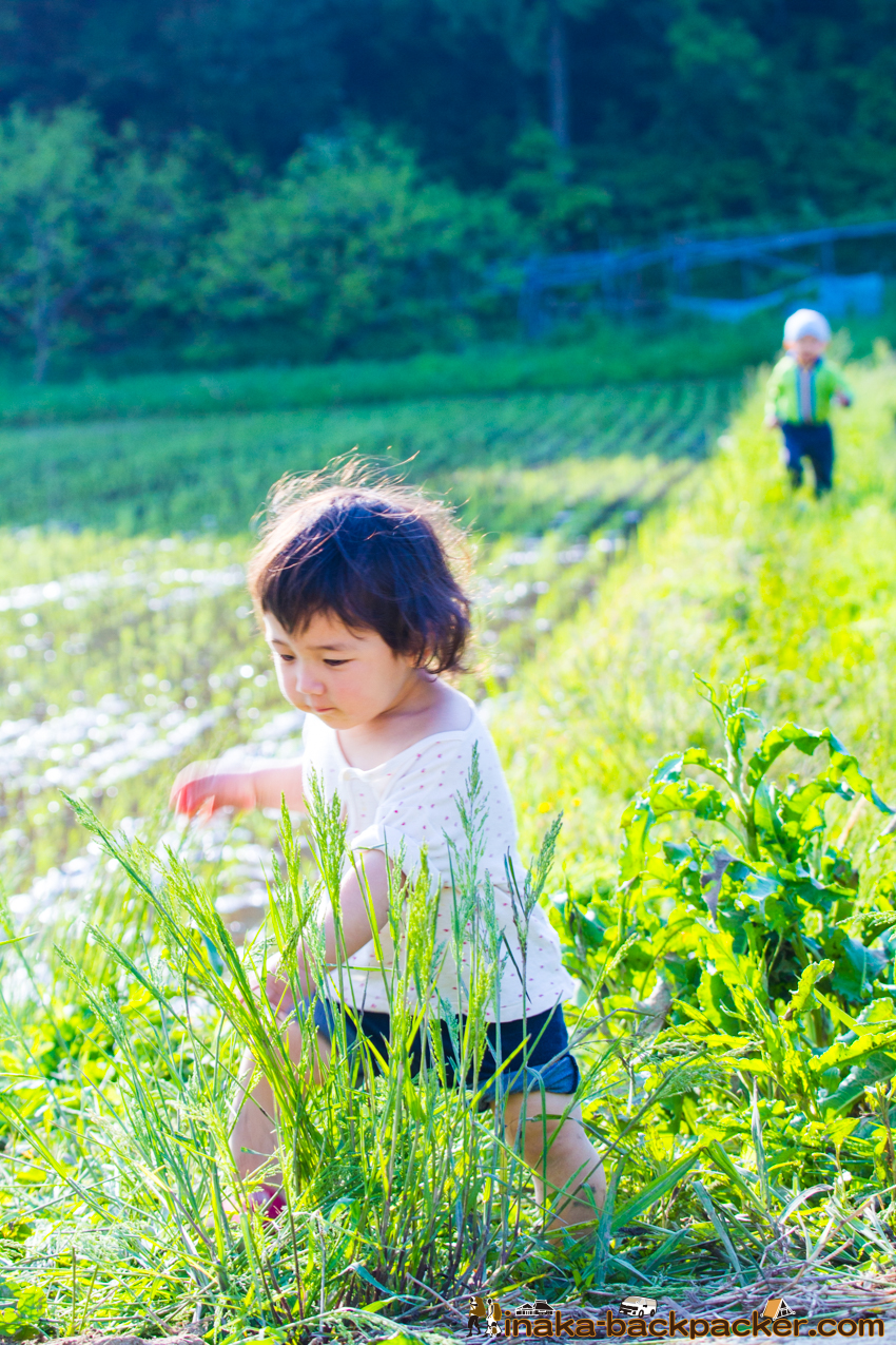 能登 穴水町 田舎時間 農業 漁師 牡蠣 水揚げ 地方 田舎 体験 noto anamizu iwaguruma rural countryside farming oyster lifestyle experiences Japan