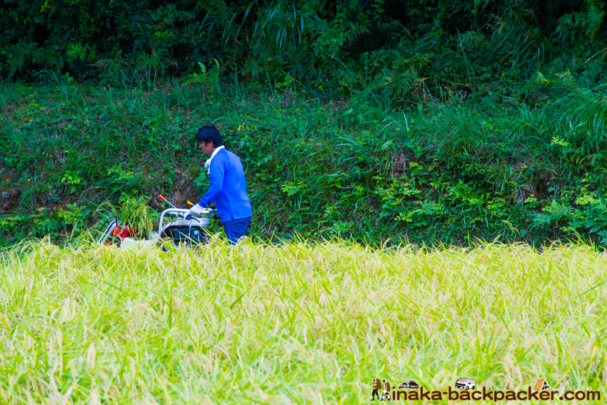 能登 穴水町 田舎時間 農業 漁師 牡蠣 水揚げ 地方 田舎 体験 noto anamizu iwaguruma rural countryside farming oyster lifestyle experiences Japan