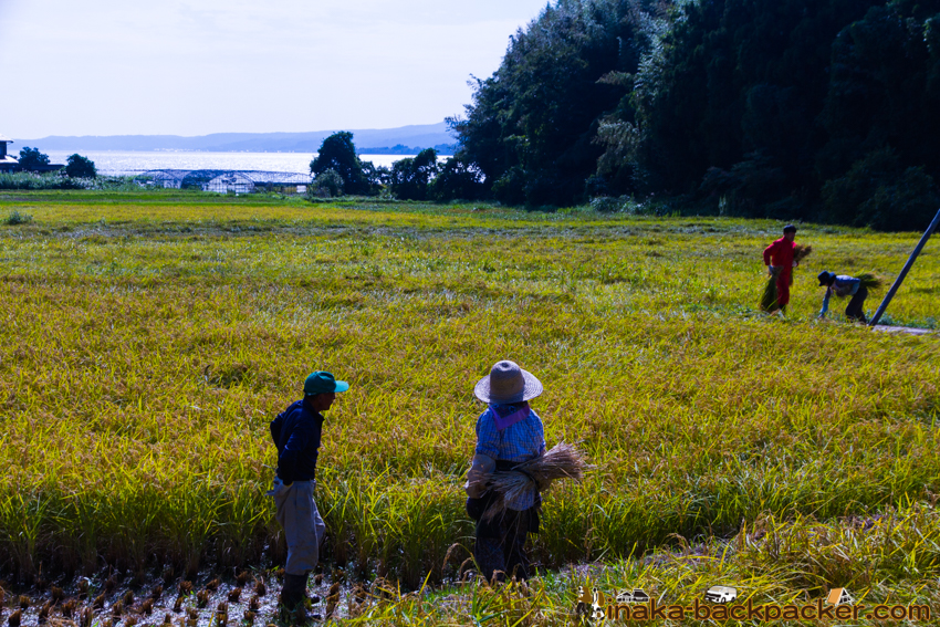 能登 穴水町 田舎時間 農業 漁師 牡蠣 水揚げ 地方 田舎 体験 noto anamizu iwaguruma rural countryside farming oyster lifestyle experiences Japan