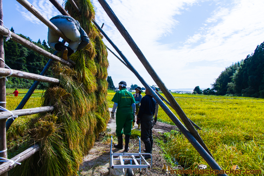 能登 穴水町 田舎時間 農業 漁師 牡蠣 水揚げ 地方 田舎 体験 noto anamizu iwaguruma rural countryside farming oyster lifestyle experiences Japan