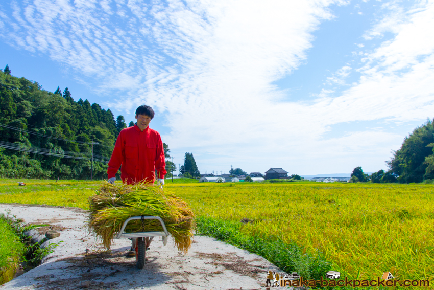 能登 穴水町 田舎時間 農業 漁師 牡蠣 水揚げ 地方 田舎 体験 noto anamizu iwaguruma rural countryside farming oyster lifestyle experiences Japan